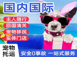 满洲里航空货运国际宠物托运 【国